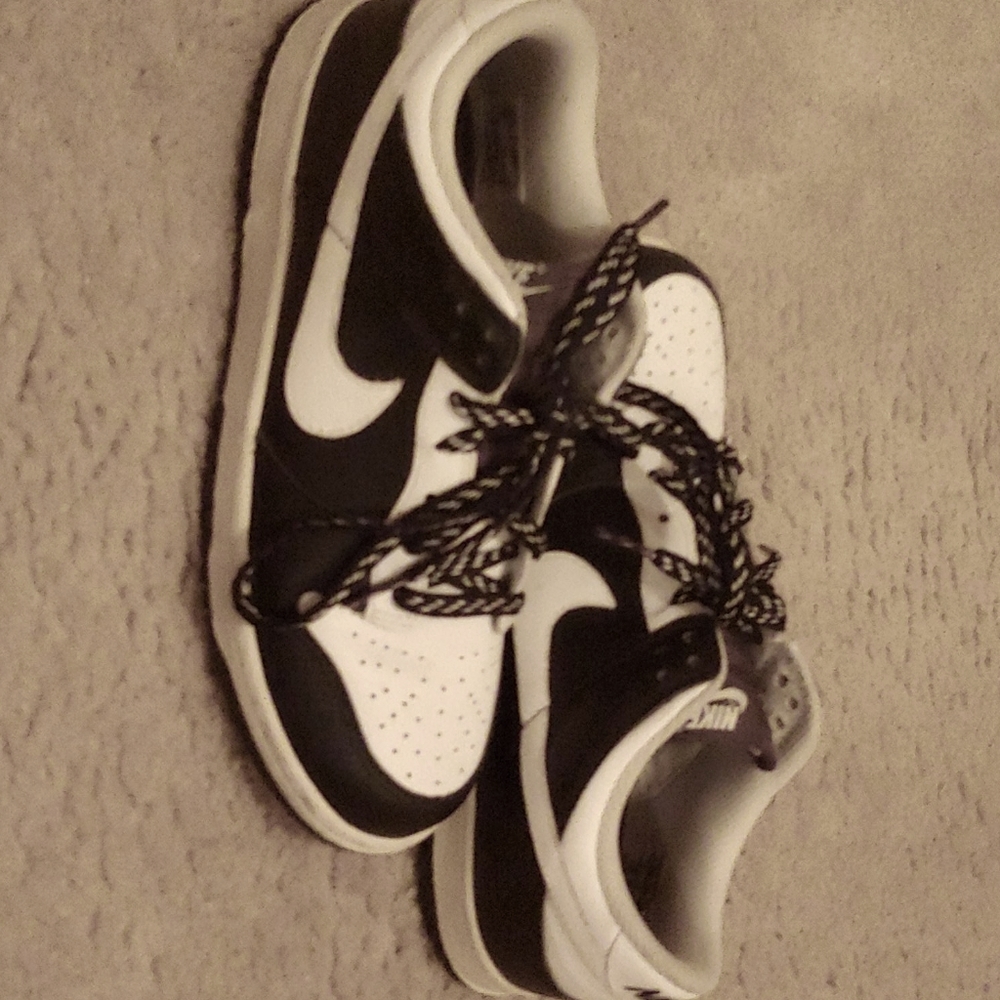 COPY - Low Top Nike Dunks